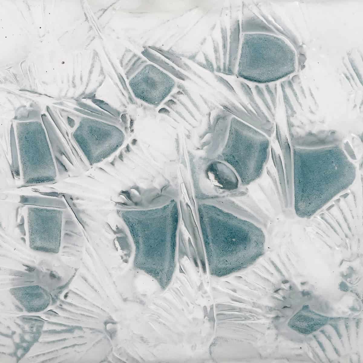 1920 René Lalique – Flacon Carré Plat Hirondelles Verre Blanc Patiné Bleu – Image 5